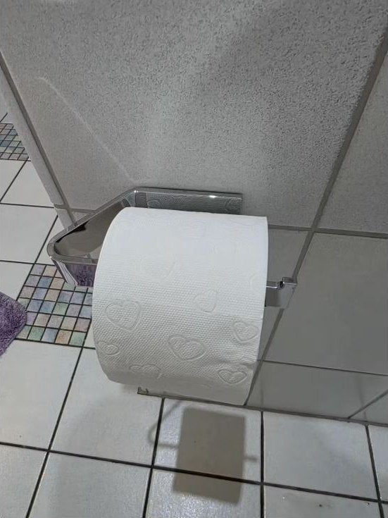 Customer review photo from Anonymous